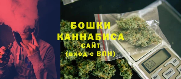 прущая мука Богданович