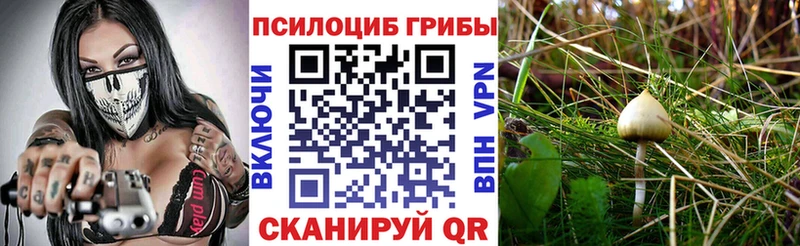 Галлюциногенные грибы GOLDEN TEACHER  Купить закладки  Ермолино 